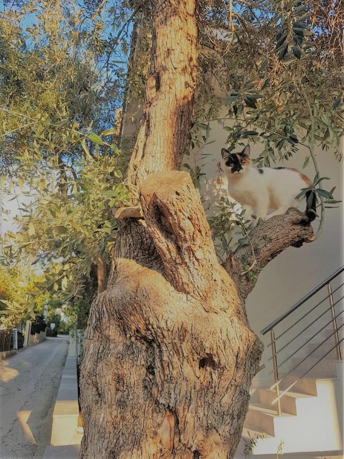 Spitaki Apartments פוטוס מראה חיצוני תמונה